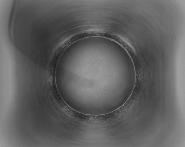 X0000112921015200908241222