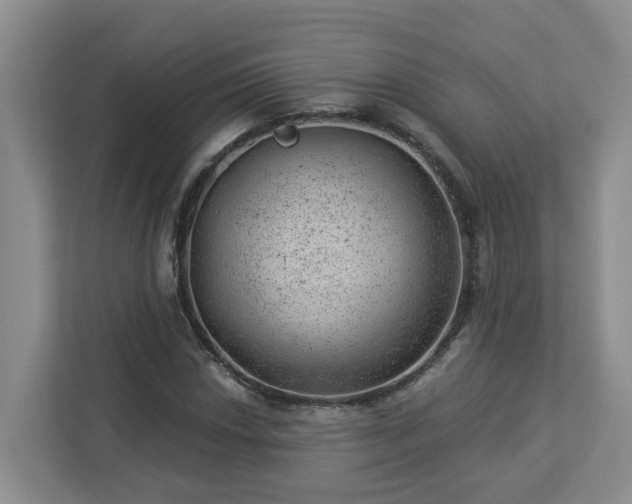 X0000112921018200908241222