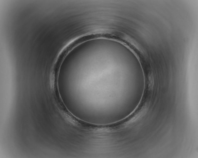 X0000112921021200908241222