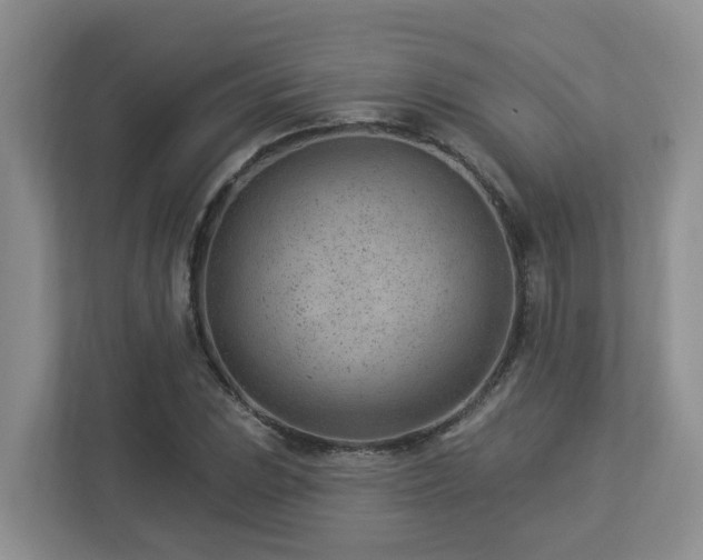 X0000112921023200908241222