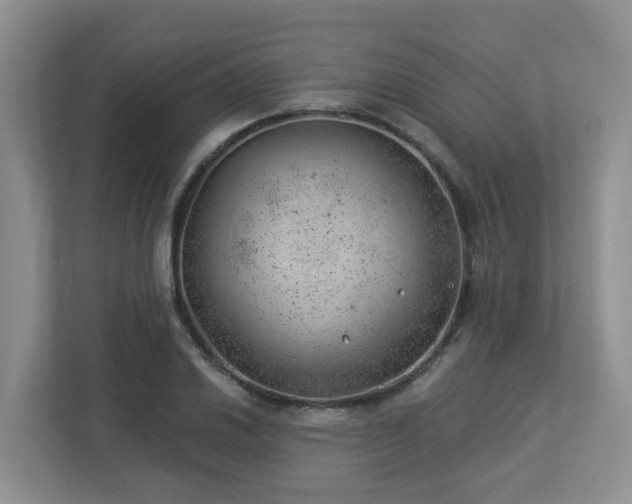 X0000112921030200908241222