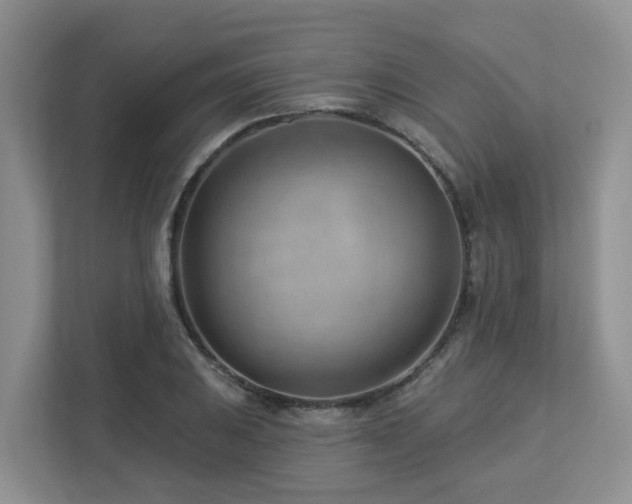 X0000112921031200908241222