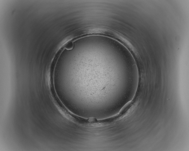 X0000112921034200908241222