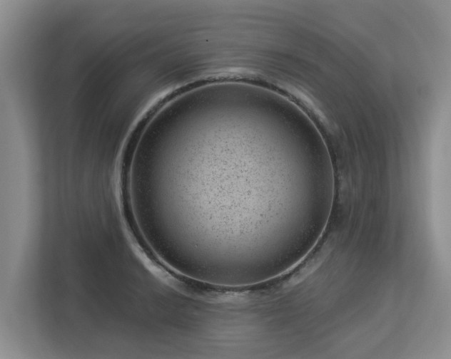 X0000112921038200908241222