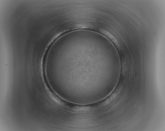 X0000112921039200908241222