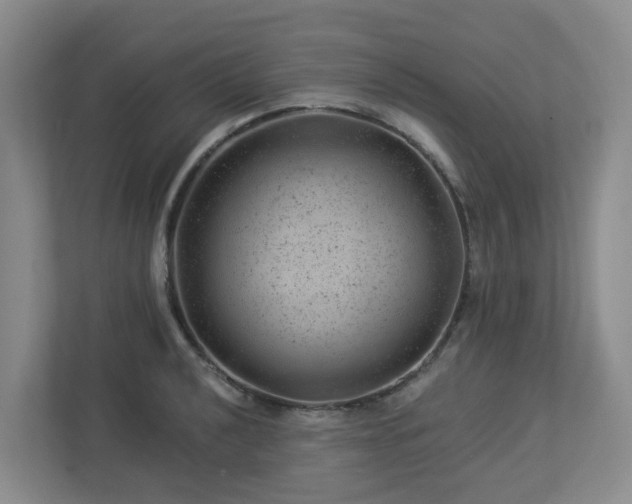 X0000112921040200908241222