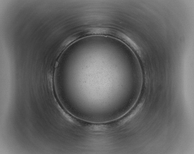 X0000112921041200908241222