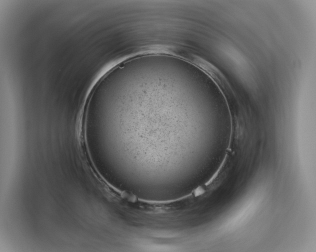 X0000112921052200908241222