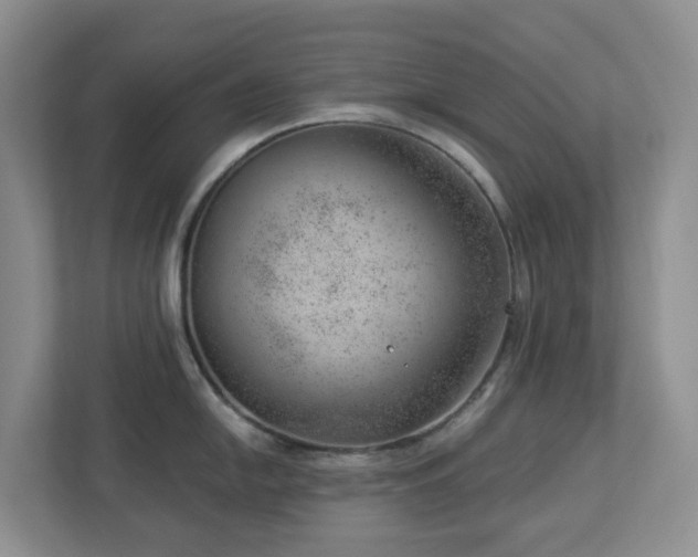 X0000112921054200908241222