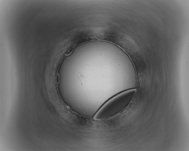 X0000112921057200908241222