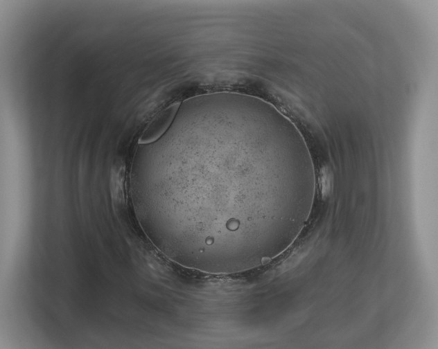 X0000112921059200908241222