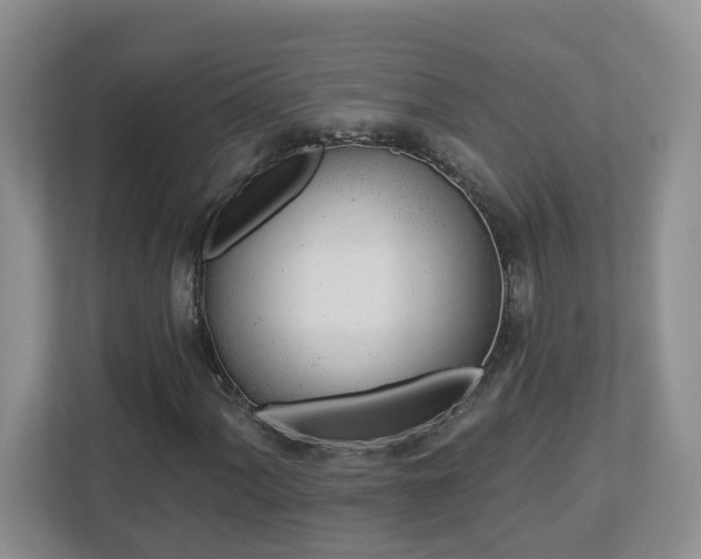 X0000112921060200908241221