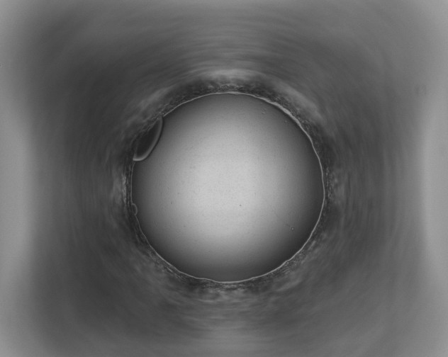 X0000112921061200908241221
