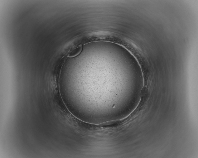 X0000112921062200908241221