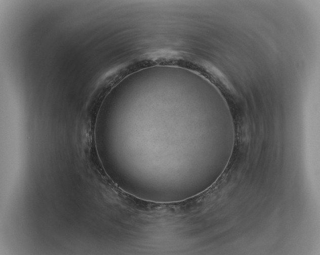 X0000112921063200908241221