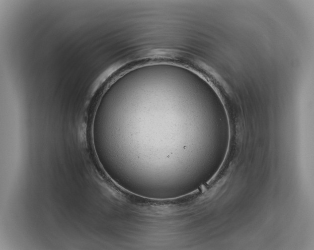 X0000112921066200908241221