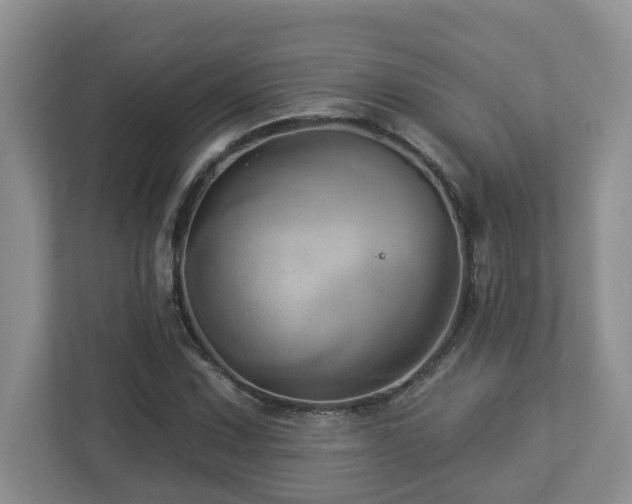 X0000112921067200908241221