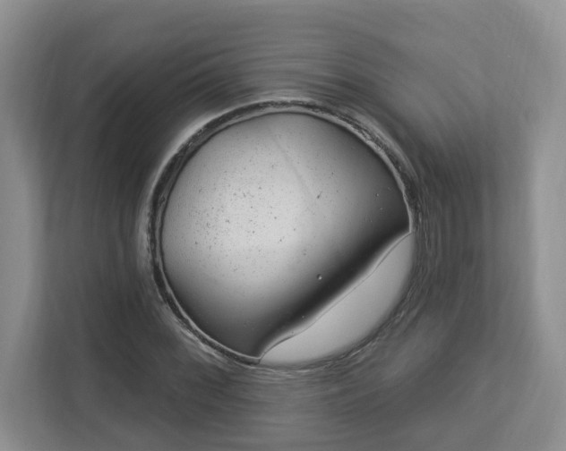 X0000112921068200908241221