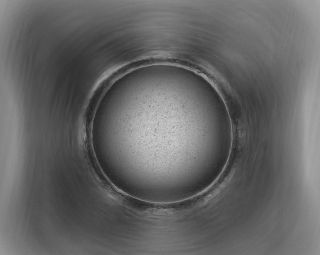 X0000112921070200908241221