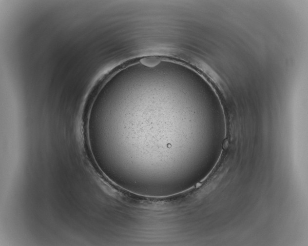 X0000112921072200908241221