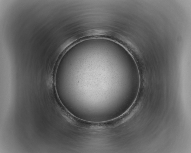 X0000112921073200908241221