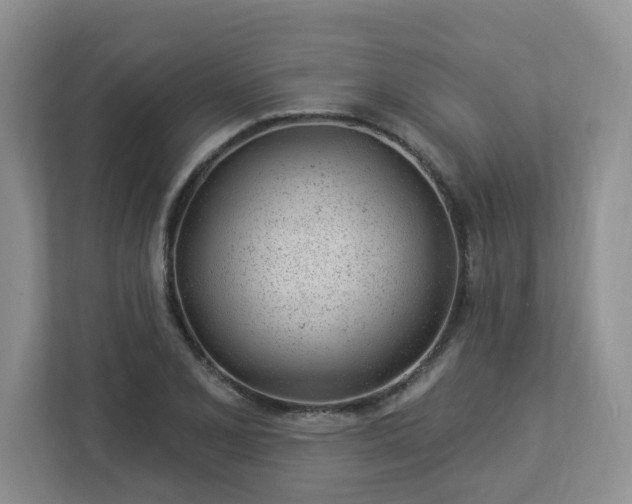 X0000112921077200908241221