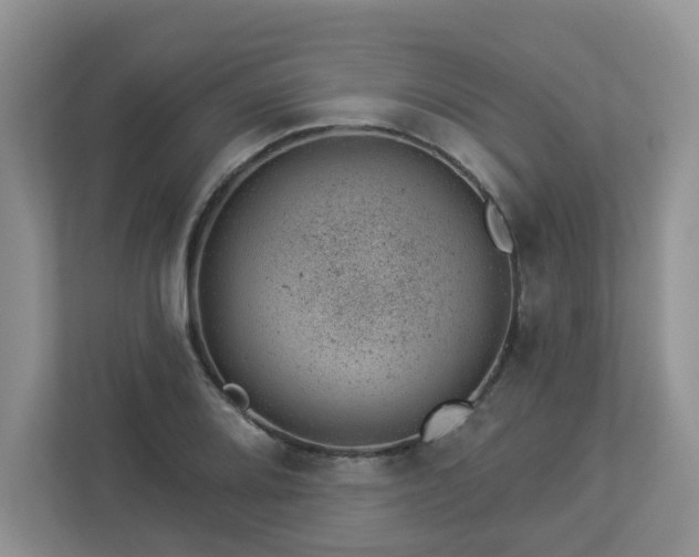 X0000112921080200908241221