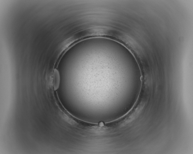 X0000112921081200908241221