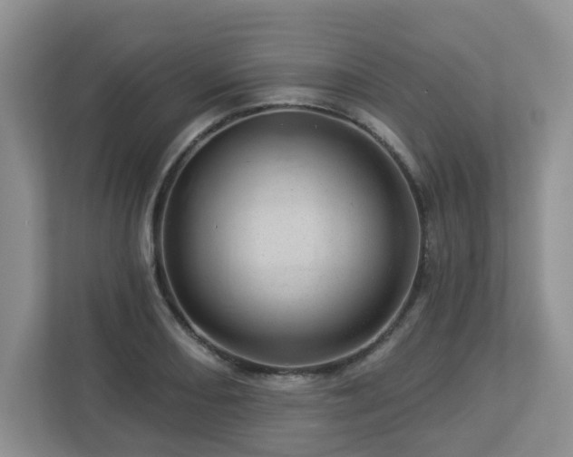 X0000112921082200908241221