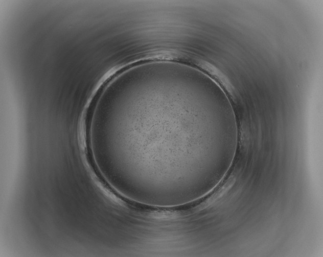 X0000112921083200908241221