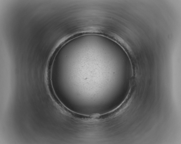 X0000112921085200908241221