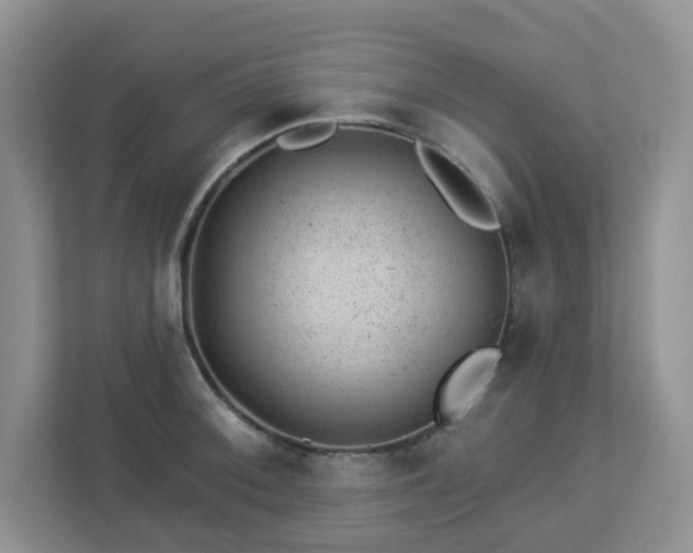 X0000112921092200908241221