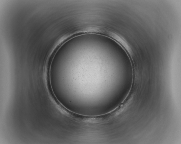 X0000112921093200908241221