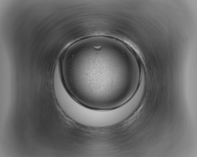 X0000112921097200908241221