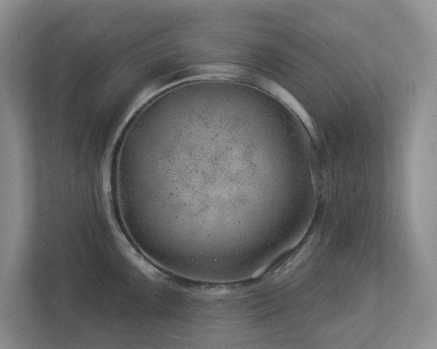 X0000112921099200908241221