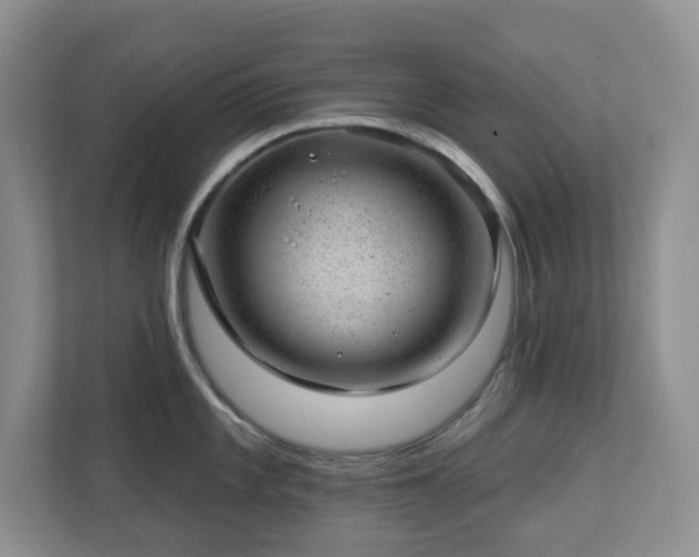X0000112921101200908241221