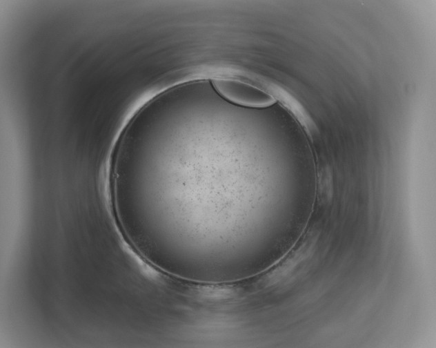 X0000112921103200908241221