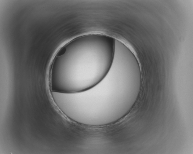 X0000112921104200908241221