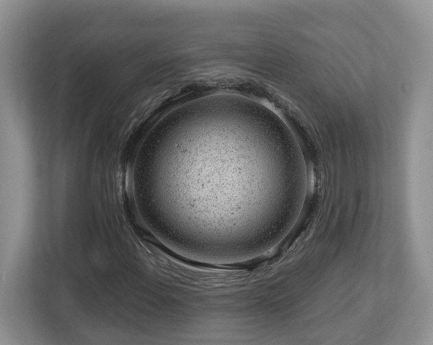 X0000112921108200908241220