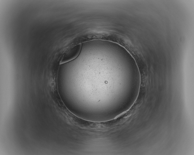 X0000112921109200908241220