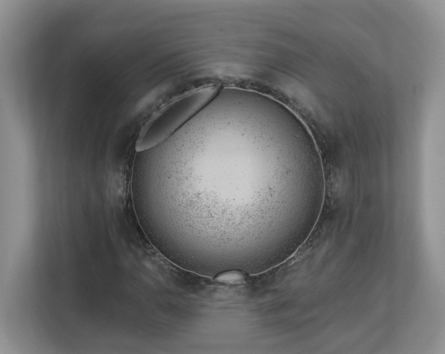 X0000112921110200908241220
