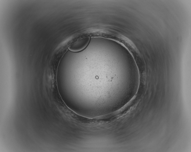 X0000112921111200908241220