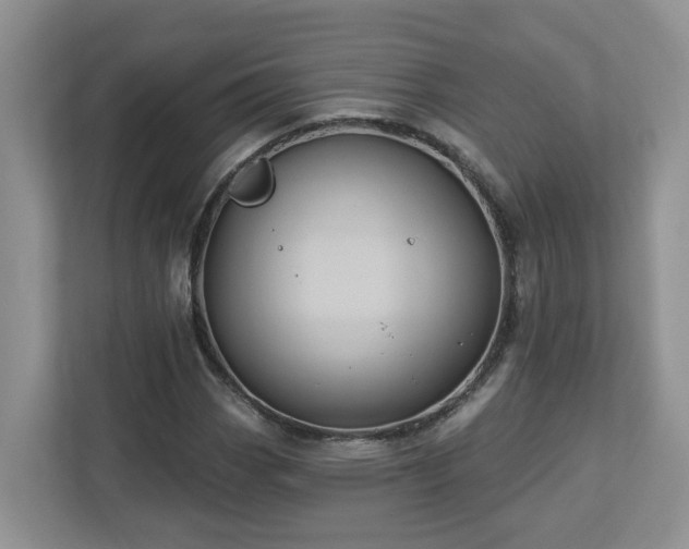 X0000112921113200908241220
