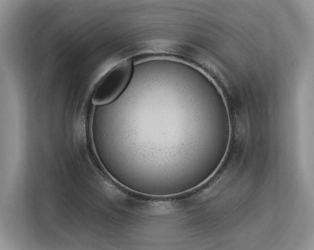 X0000112921114200908241220