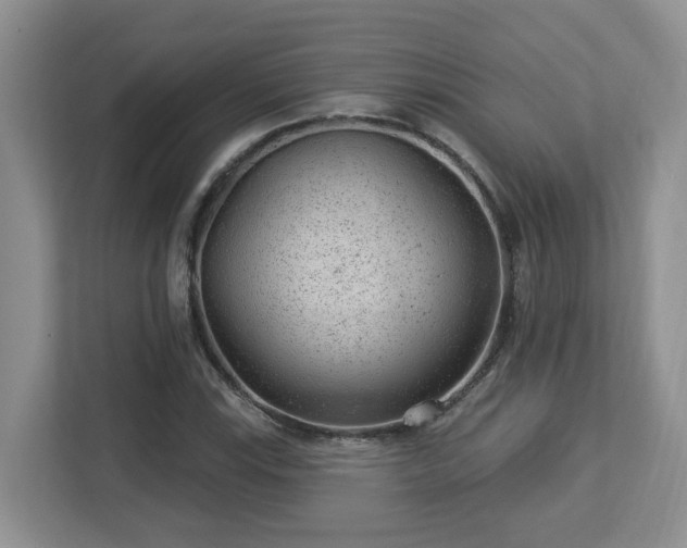 X0000112921115200908241220
