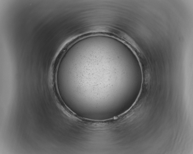X0000112921116200908241220
