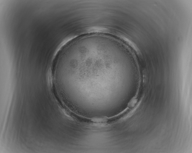 X0000112921117200908241220