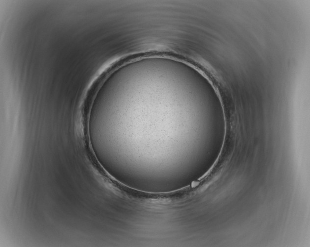 X0000112921118200908241220