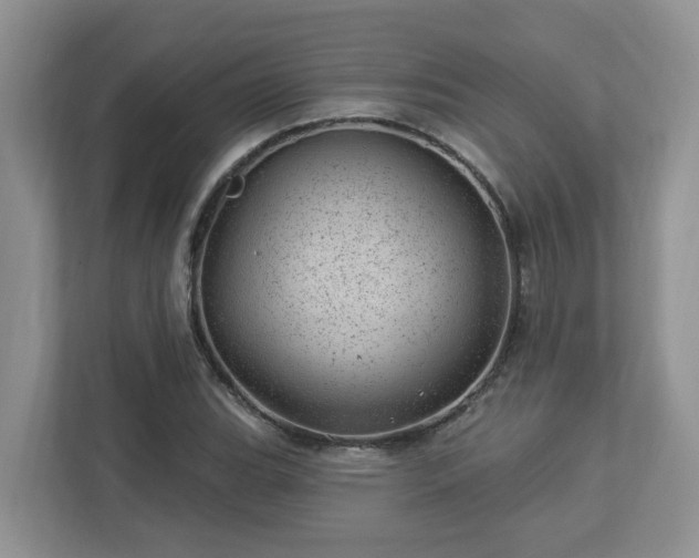 X0000112921119200908241220