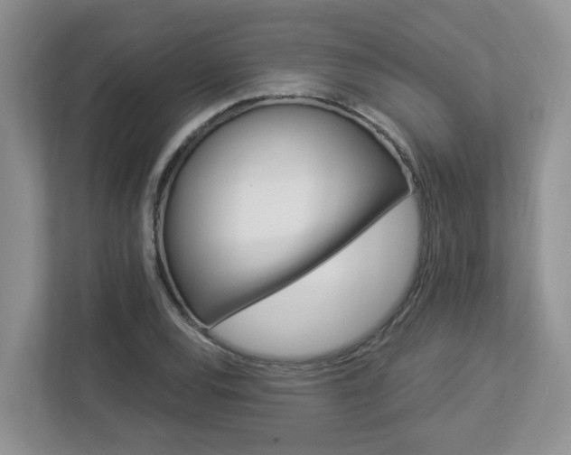 X0000112921120200908241220